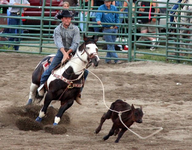 Calf Roping. Photo by Pinedale Online.