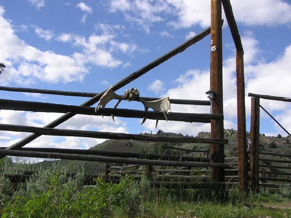 Moose fence. Photo by Pinedale Online.