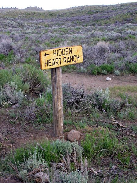 Good signs on road. Photo by Pinedale Online.