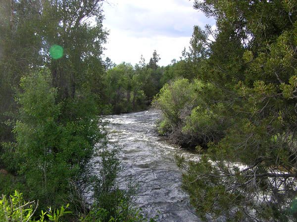 Next to Pole Creek. Photo by Pinedale Online.