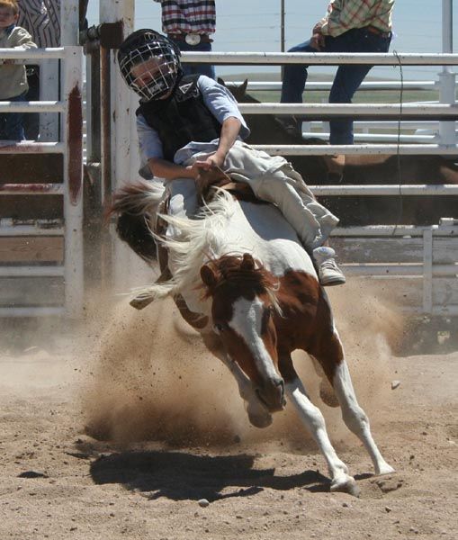 Bareback Bronc. Photo by Clint Gilchrist, Pinedale Online.