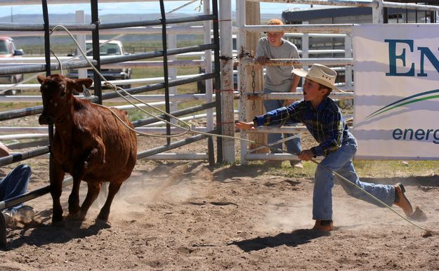 Rope a Calf. Photo by Pinedale Online.