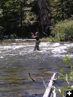 Fly Fishing. Photo by Tony Vitolo.