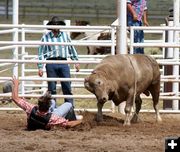 Bull Scramble Fall. Photo by Pinedale Online.