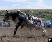 Headed for the ground. Photo by Pinedale Online.