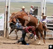 Bareback Rider. Photo by Pinedale Online.