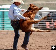 Calf Roping. Photo by Pinedale Online.