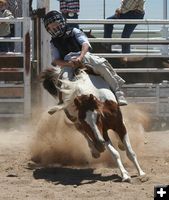 Bareback Bronc. Photo by Clint Gilchrist, Pinedale Online.