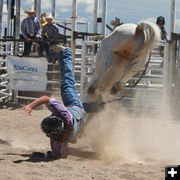 Taking a fall. Photo by Pinedale Online.