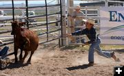 Rope a Calf. Photo by Pinedale Online.