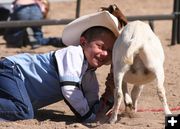 Goat tail tying. Photo by Clint Gilchrist, Pinedale Online.