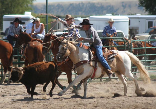 Team Roping. Photo by Pinedale Online.