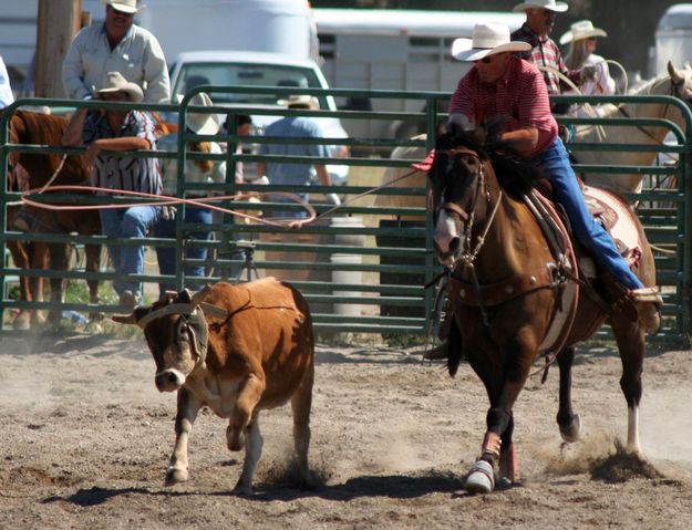 Perfect Throw. Photo by Pinedale Online.