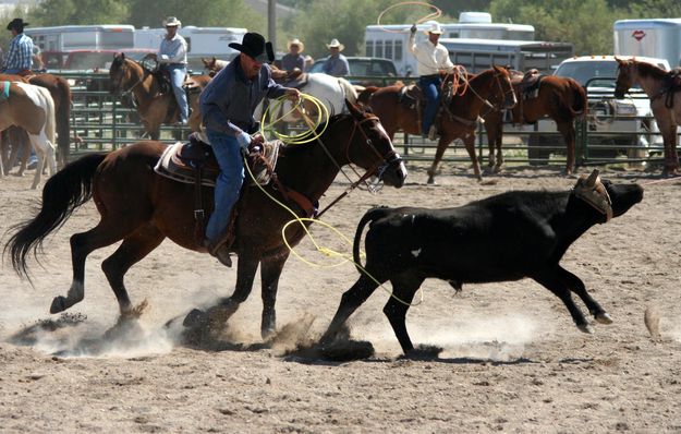 Heeler Randy Miller. Photo by Pinedale Online.