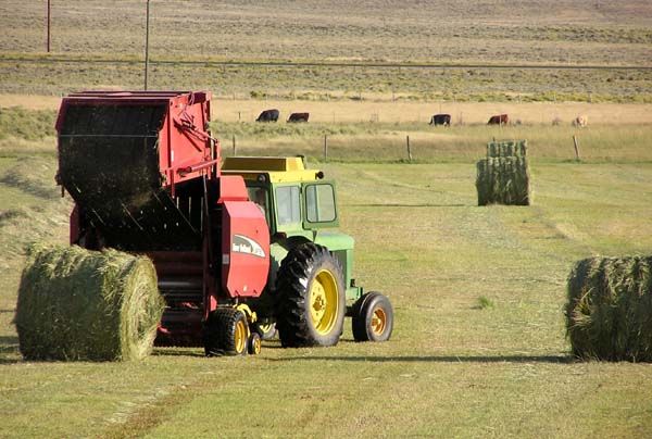 Baling. Photo by Dawn Ballou, Pinedale Online.