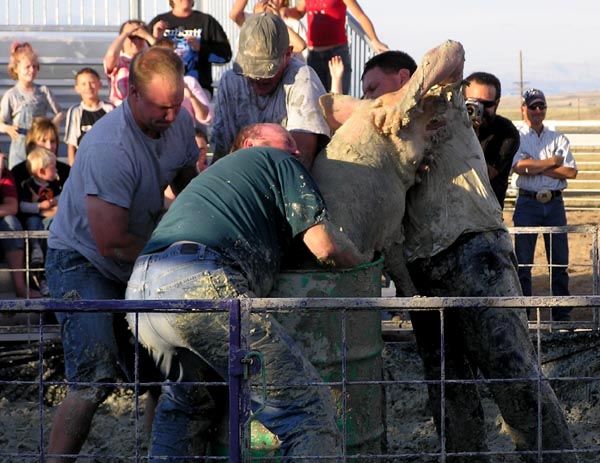 4 Burly Men and One Big Pig. Photo by Pinedale Online.