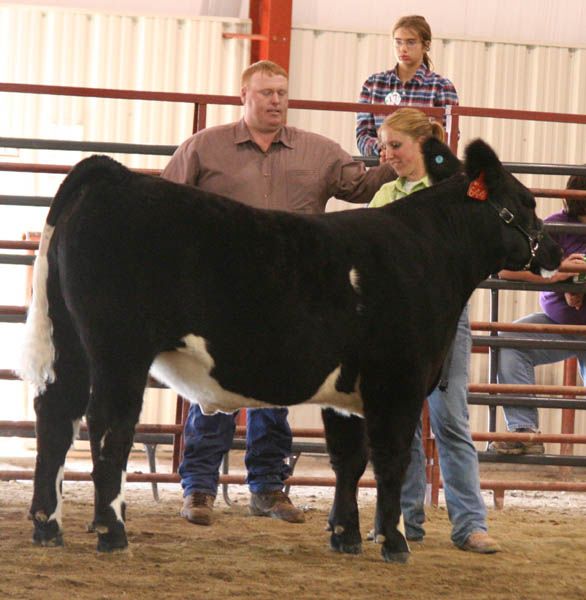 Grand Champion Beef. Photo by Pinedale Online.