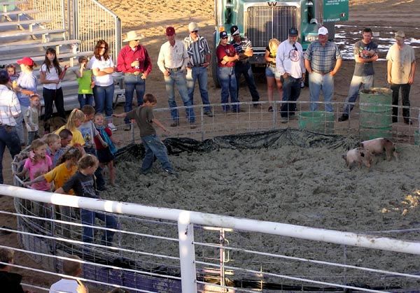 Greased Pig Contest. Photo by Pinedale Online.