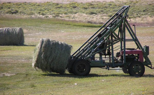Moving bales. Photo by Dawn Ballou, Pinedale Online.