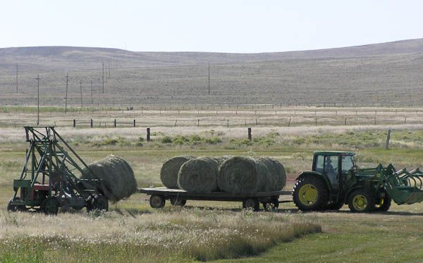 Loading bales. Photo by Dawn Ballou, Pinedale Online.