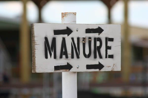 Manure That Way. Photo by Pinedale Online.