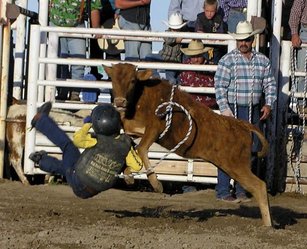 Jake McAdams calf ride toss. Photo by Dawn Ballou, Pinedale Online.