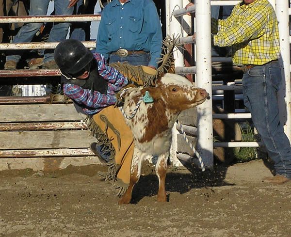 Jordan Costello Calf Ride. Photo by Pinedale Online.