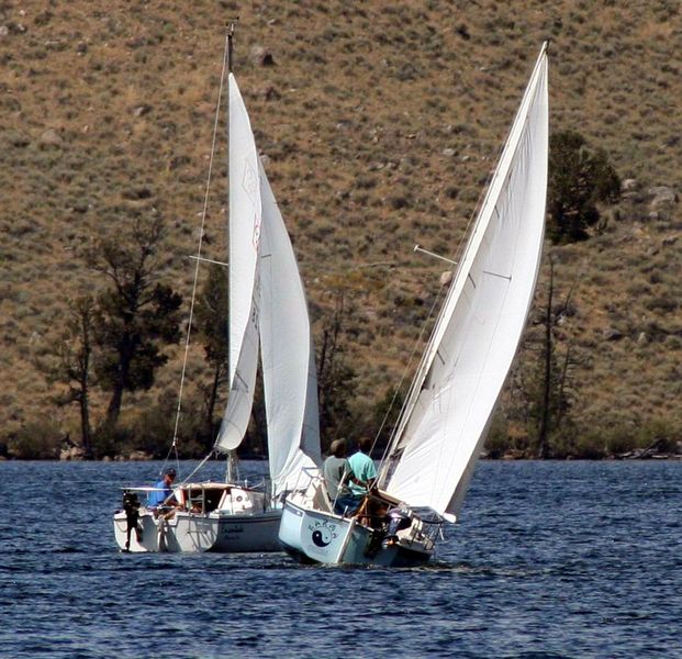 Close Race. Photo by Pinedale Online.