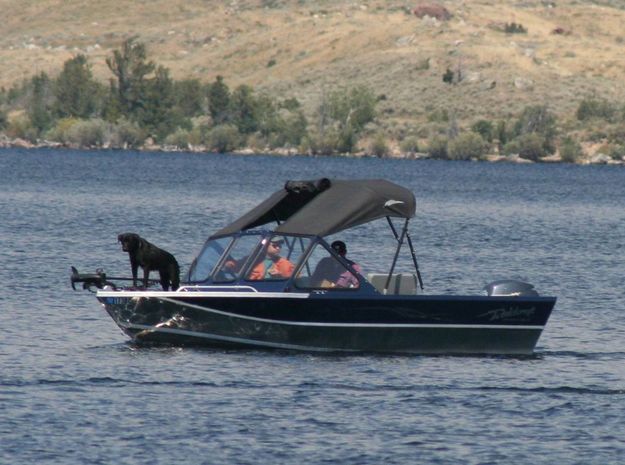 Boat Spectators. Photo by Pinedale Online.