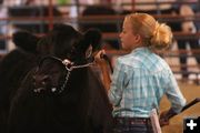 Beef Judging. Photo by Pinedale Online.