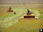 Cutting the grass. Photo by Dawn Ballou, Pinedale Online.