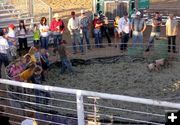 Greased Pig Contest. Photo by Pinedale Online.