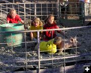 Pig Rodeo-ers. Photo by Pinedale Online.