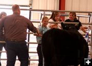 Reserve Champion Beef. Photo by Pinedale Online.