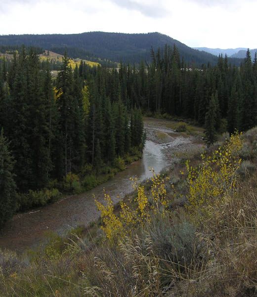 Upper Hoback River. Photo by Pinedale Online.