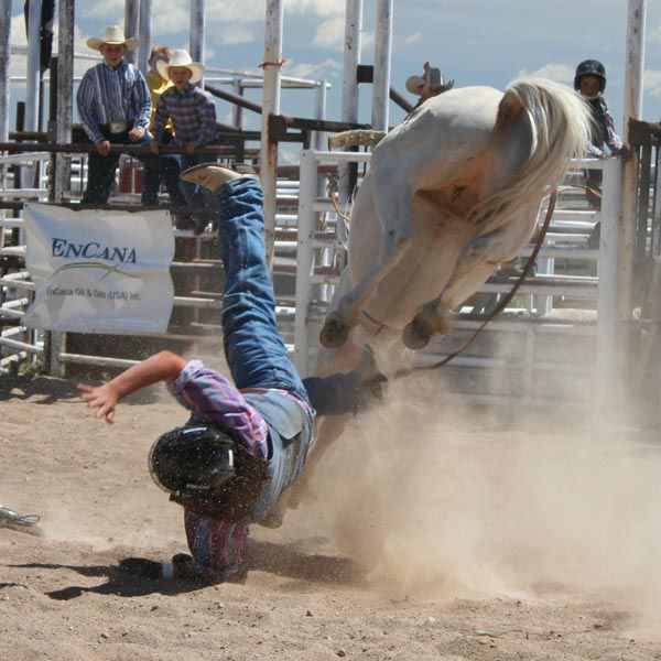 Chuckwagon Days Sponsor. Photo by Pinedale Online.