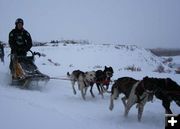 Kate St Onge. Photo by Clint Gilchrist, Pinedale Online.