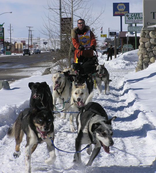 Bruce Magnusson sled team. Photo by Dawn Ballou, Pinedale Online.