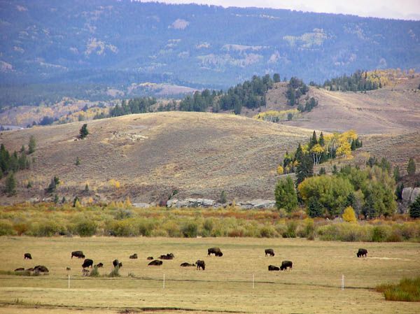 Noble Basin. Photo by Pinedale Online.