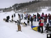 Pinedale Sled Dog Race. Photo by Dawn Ballou, Pinedale Online.