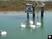 Texas Shore. Photo by Cyd Goodrich.