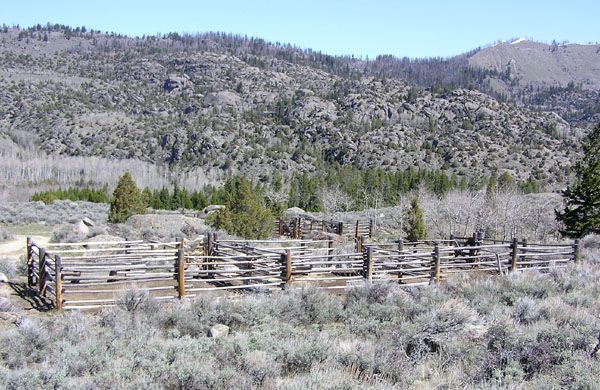 Corrals at trailhead. Photo by Dawn Ballou, Pinedale Online.