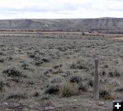 Lander Cut-off Oregon Trail. Photo by Dawn Ballou Pinedale Online.