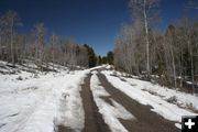 Skyline Drive. Photo by Clint Gilchrist, Pinedale Online.