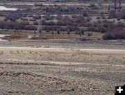 Main group crosses. Photo by Clint Gilchrist, Pinedale Online.