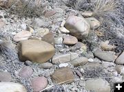 Round Rocks. Photo by Dawn Ballou, Pinedale Online.