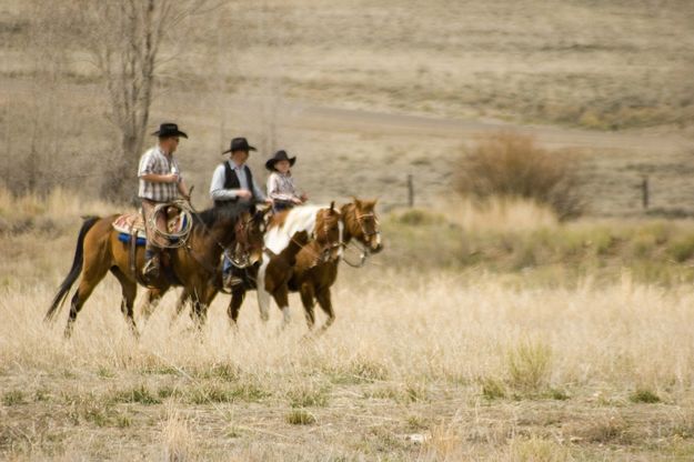 The ride home, Roy, Jake and Erika Wolaver. Photo by Tara Bolgiano.