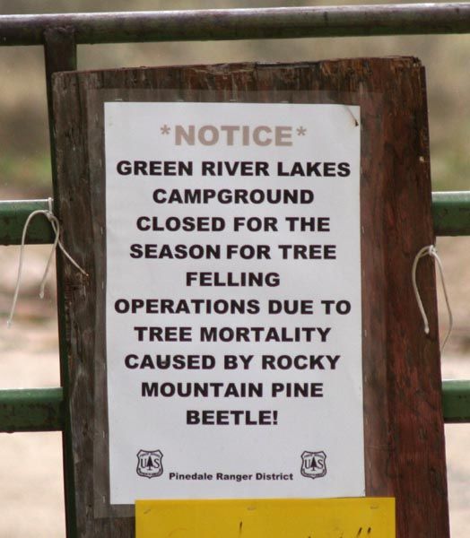 Campground closed. Photo by Pinedale Online.