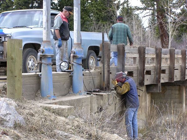 Welding the headgate. Photo by Dawn Ballou, Pinedale Online.