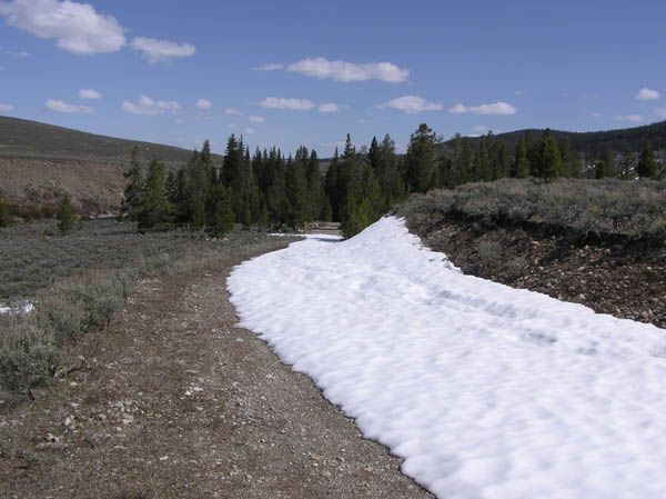Whiskey Grove Snowbank. Photo by Dawn Ballou, Pinedale Online.